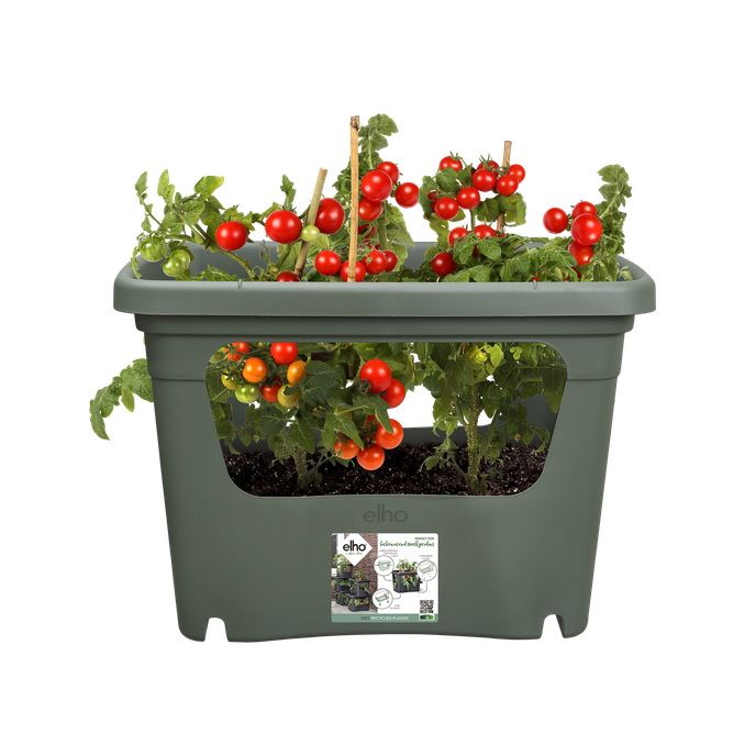 green basics stack & grow large blad groen